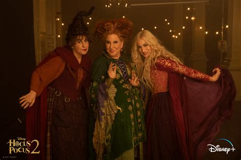Sanderson sisters witches exhibition